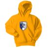 Youth Core Fleece Pullover Hooded Sweatshirt Thumbnail