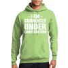 Core Fleece Pullover Hooded Sweatshirt Thumbnail